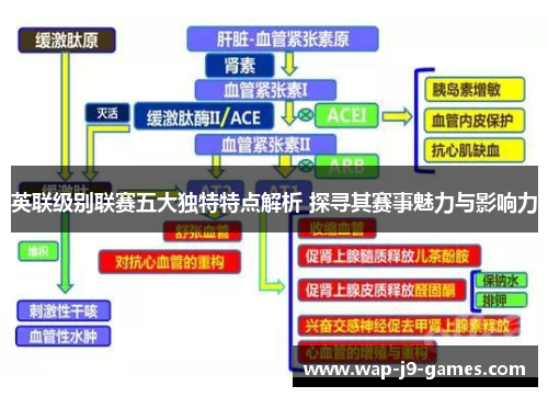 英联级别联赛五大独特特点解析 探寻其赛事魅力与影响力