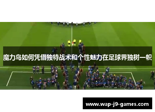 魔力鸟如何凭借独特战术和个性魅力在足球界独树一帜