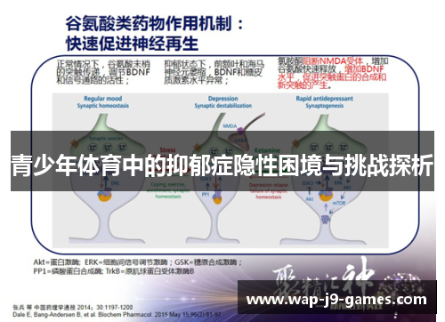 青少年体育中的抑郁症隐性困境与挑战探析